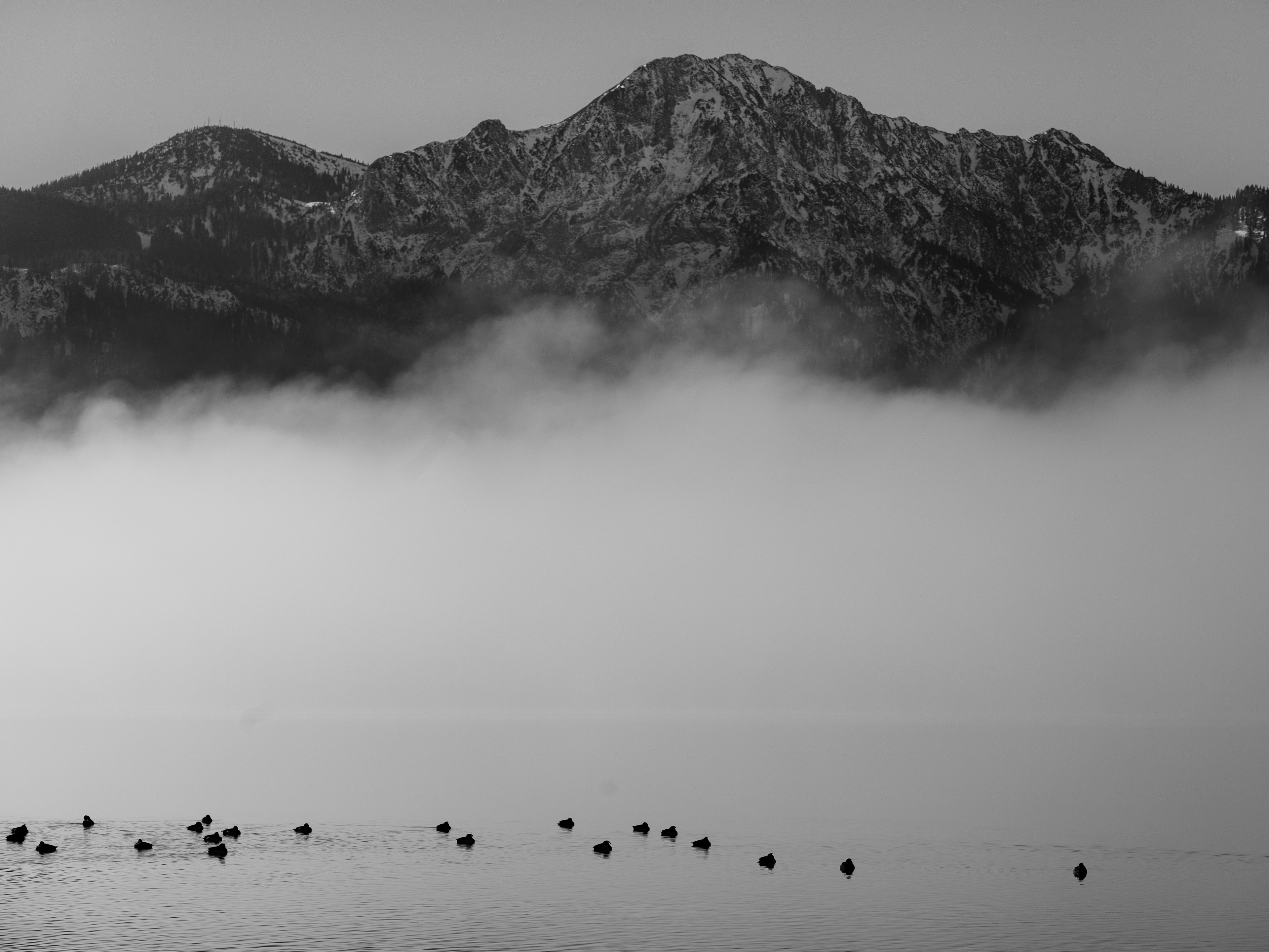 Kochelsee
