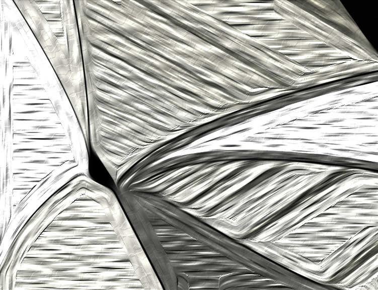 Adobe Illustrator & Photoshop