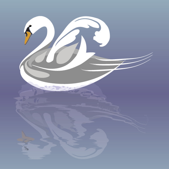 Adobe Illustrator