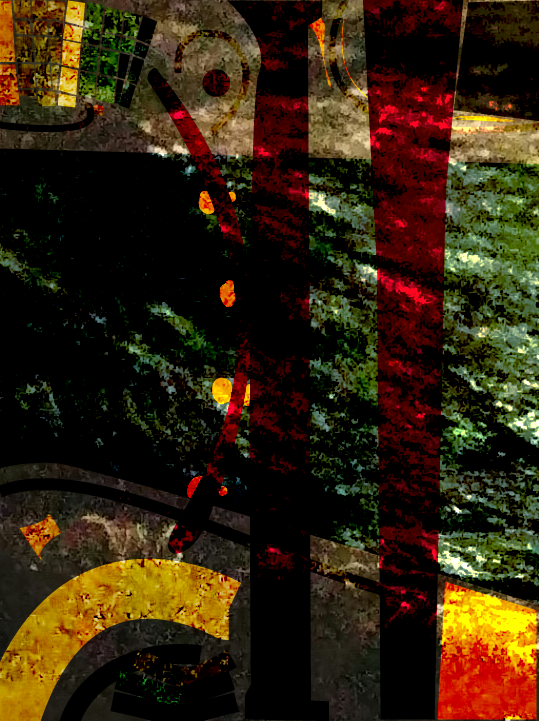 Adobe Illustrator & Photoshop