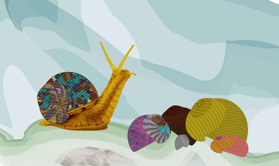 Adobe Illustrator
