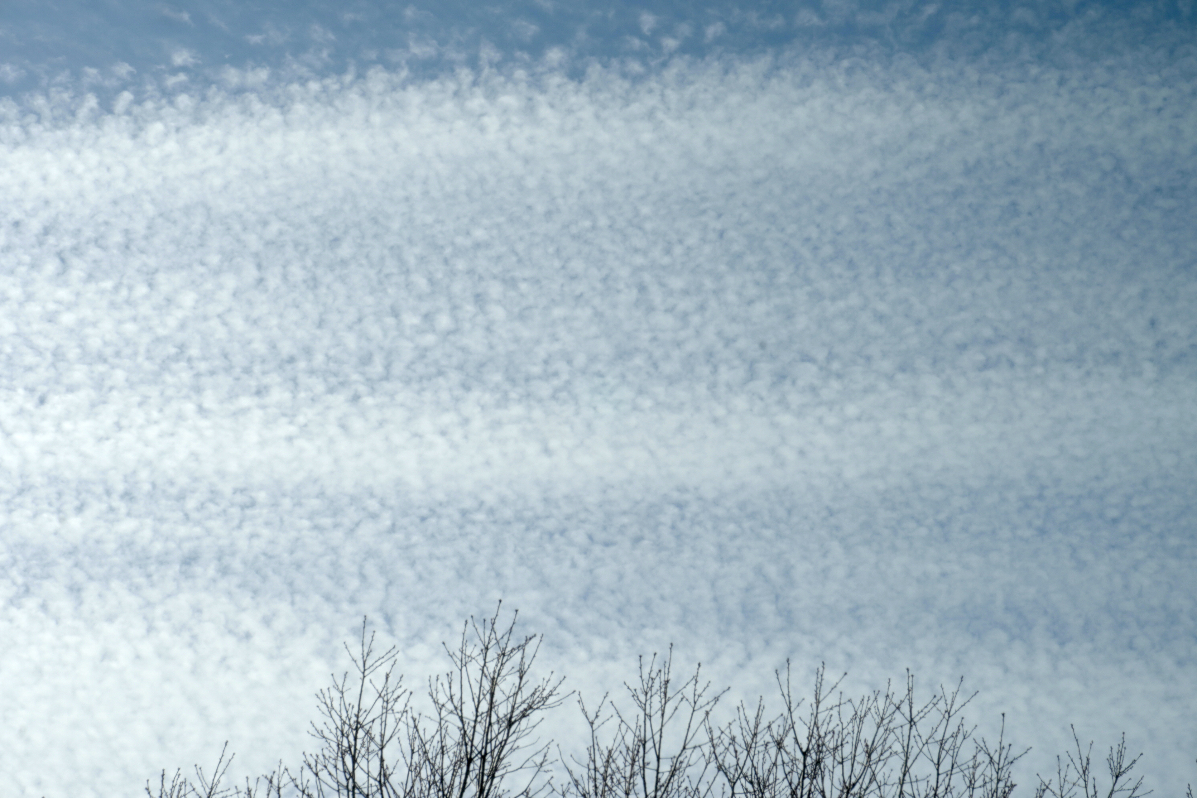 "Winter 2024" digital photograph