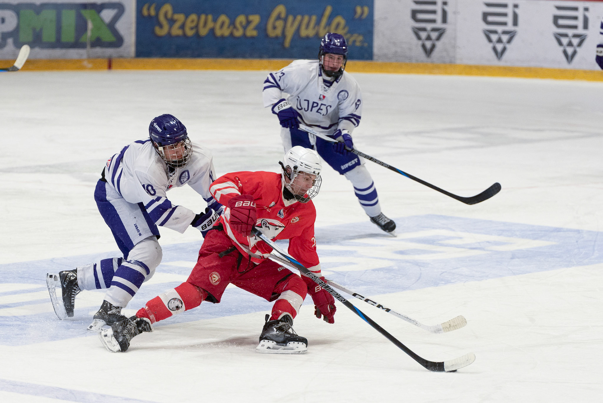 DVTK - UTE 1:4