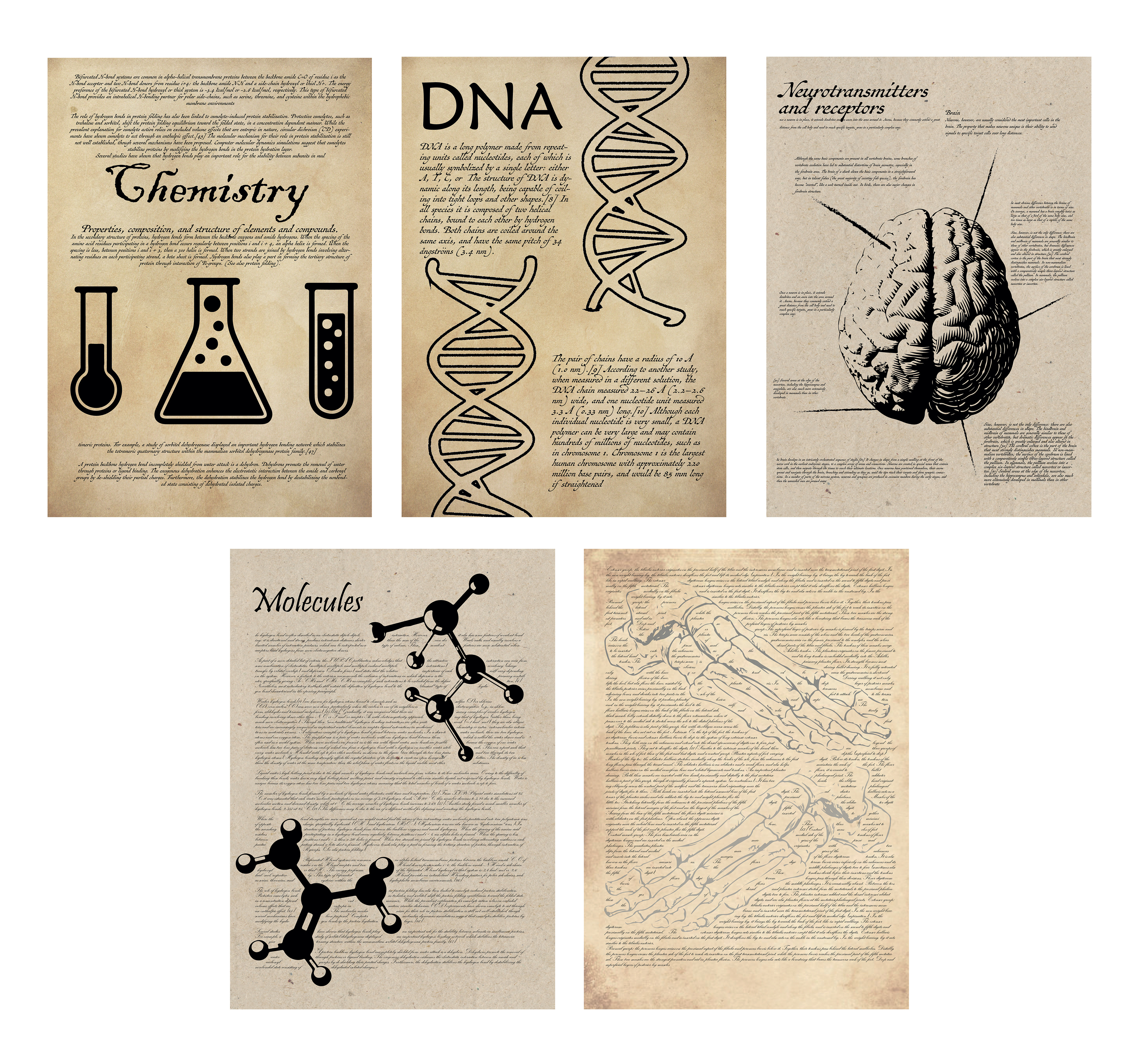 I'm A Celebrity 2022 - Science Posters