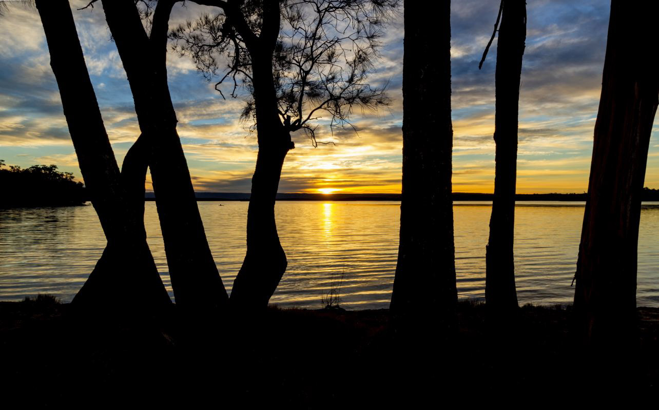 Through the Grief there is Light