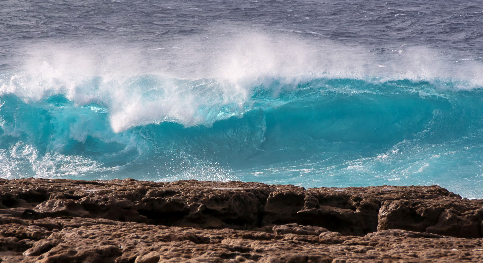 Moes Rock Rocking the Big Swell 6