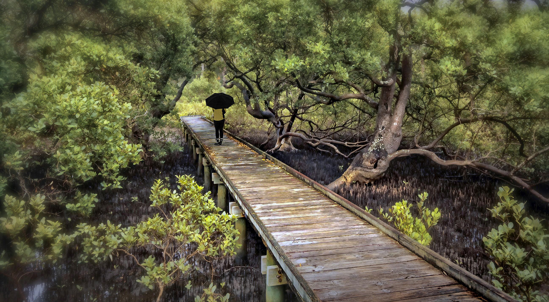 Peace in the mangroves and girl