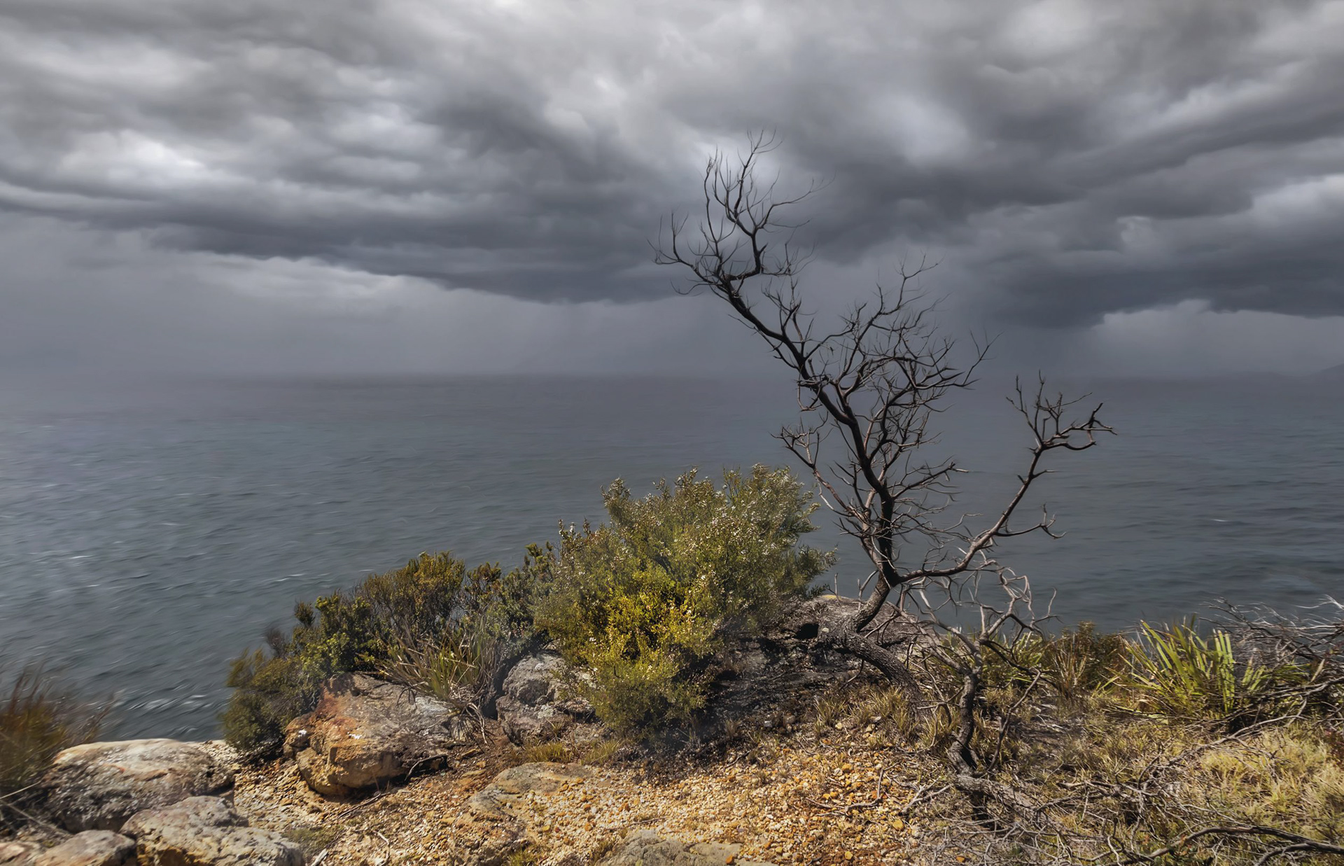 Looking at the Tasman Sea
