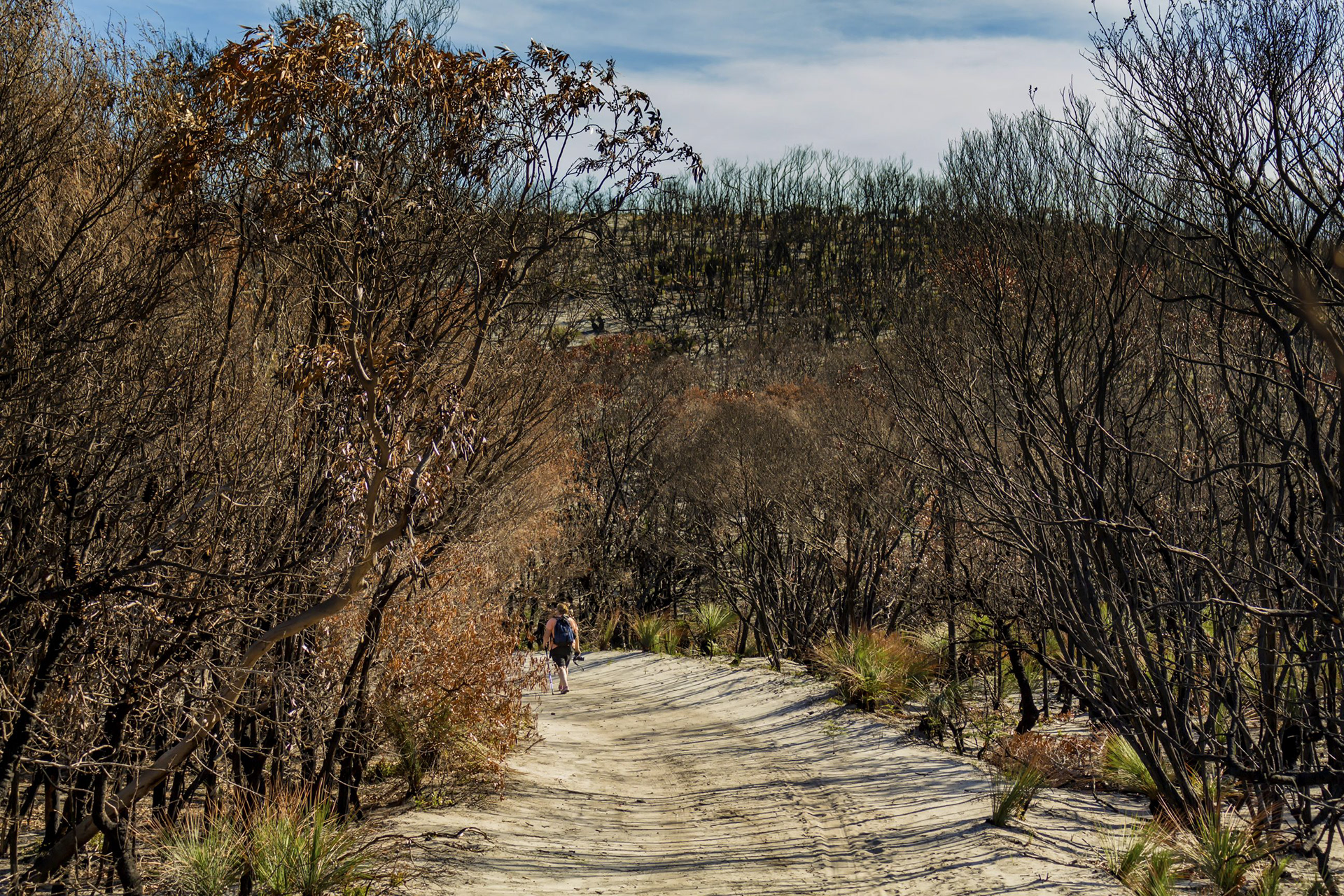 A Sacred Landscape Changed forever 