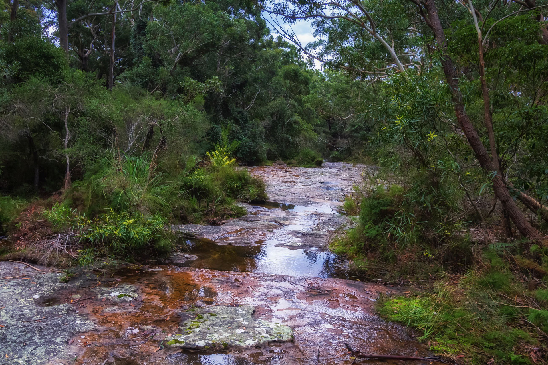 Creek at Greenpatch Beach