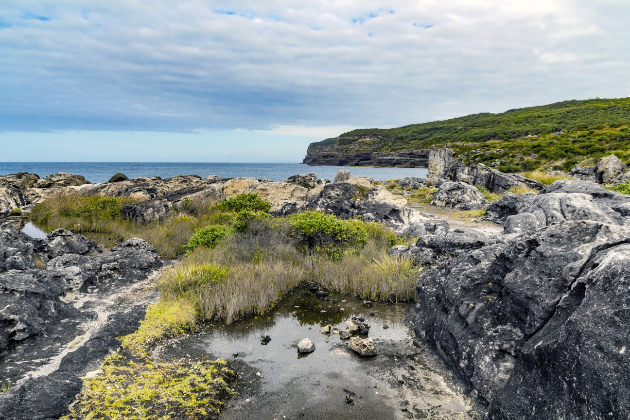Stony Creek