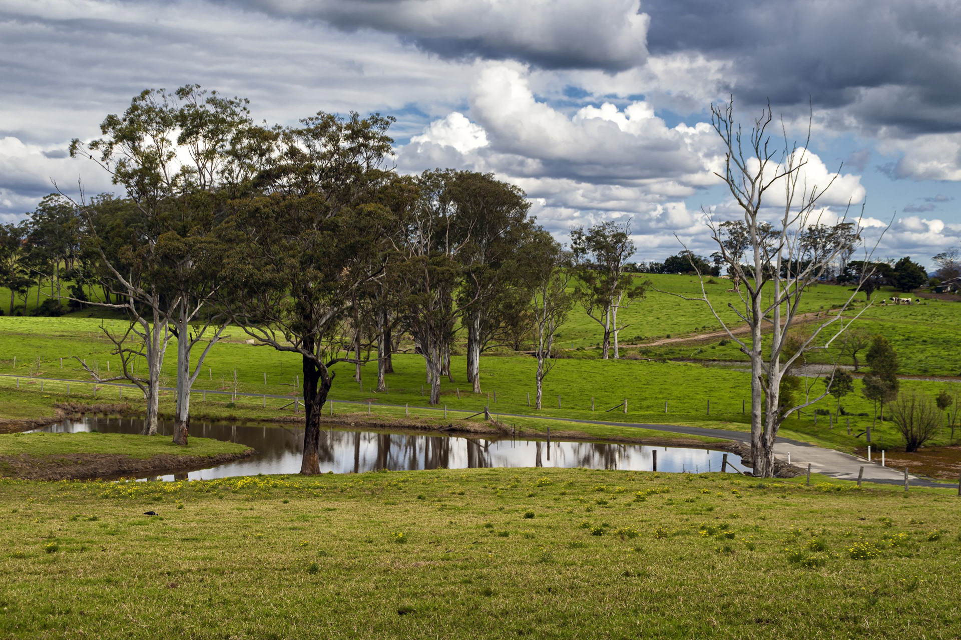 South Coast Pastures 
