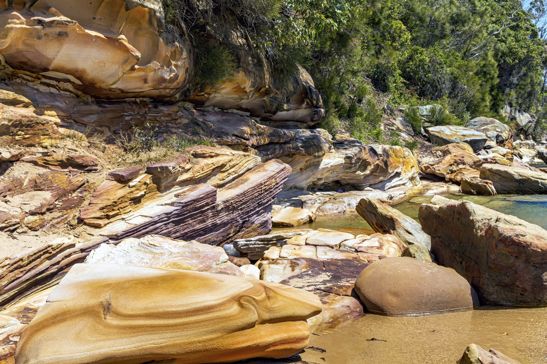 Hawksbury Sandstone at Wattamolla 
