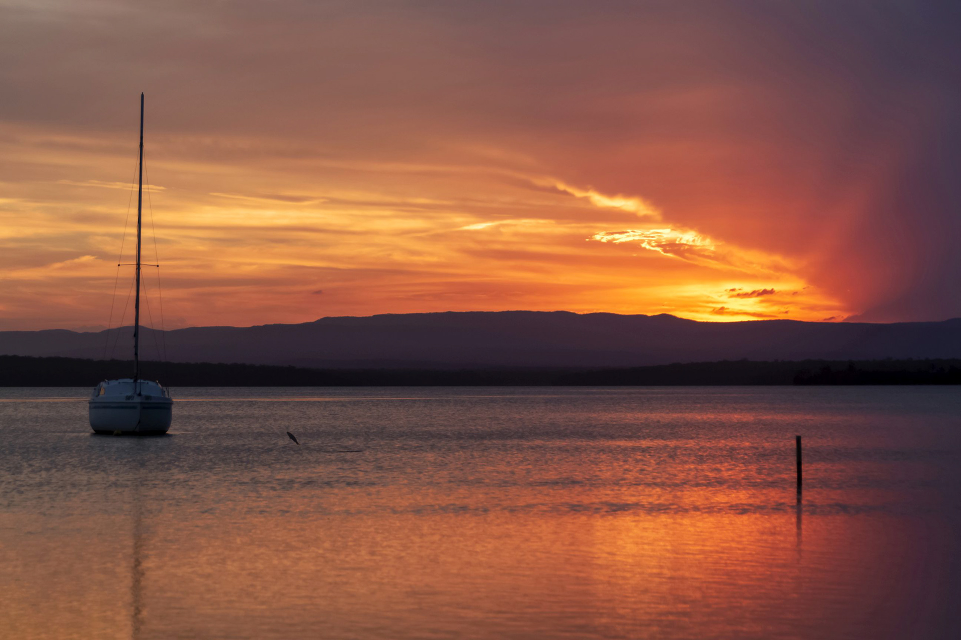 The Magic Hour 4a with flying fish