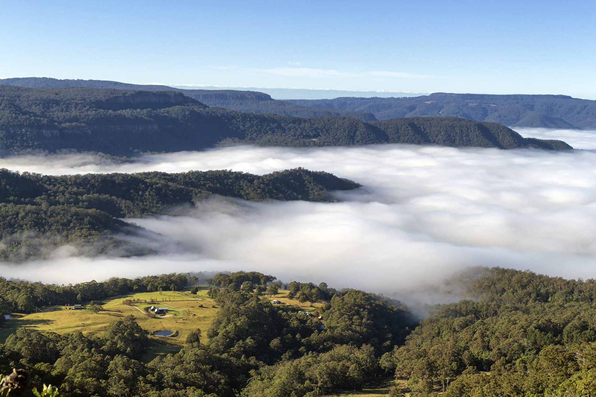 Above the Fog