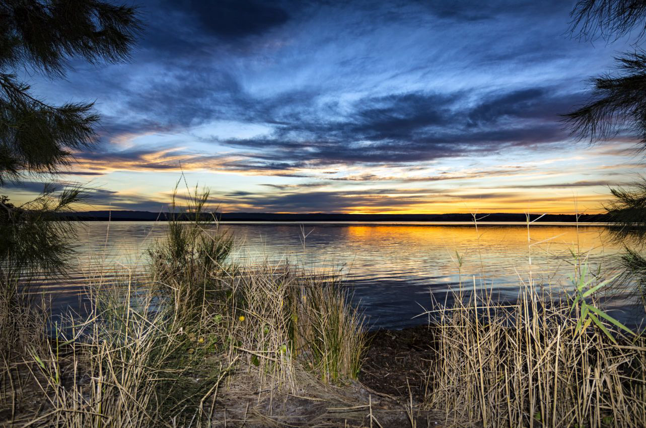 Through the Grief there is Light 5