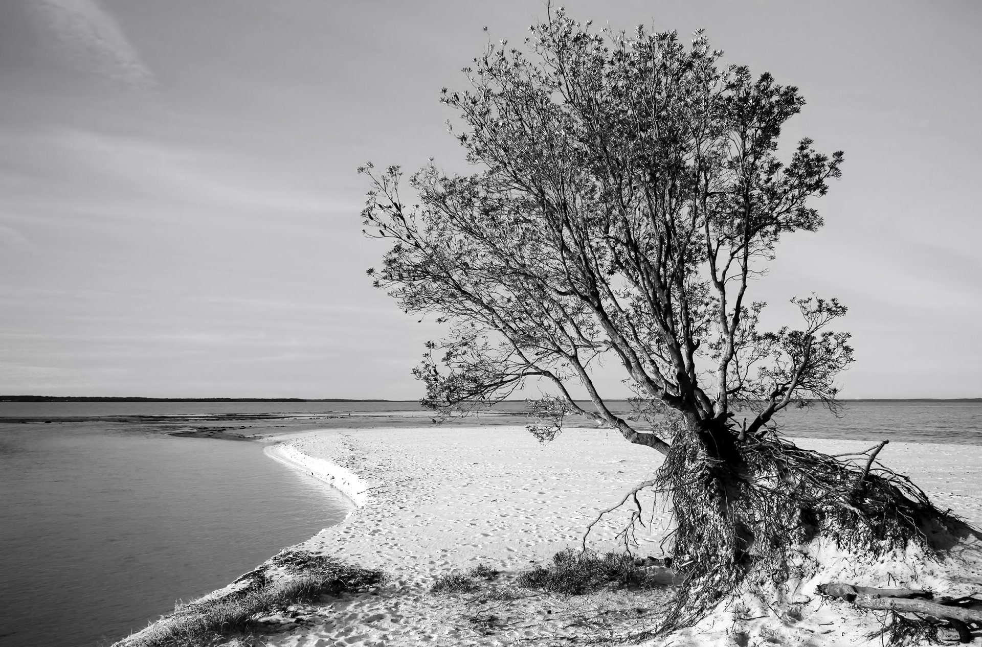 Moona Moona Huskisson Winter 2017