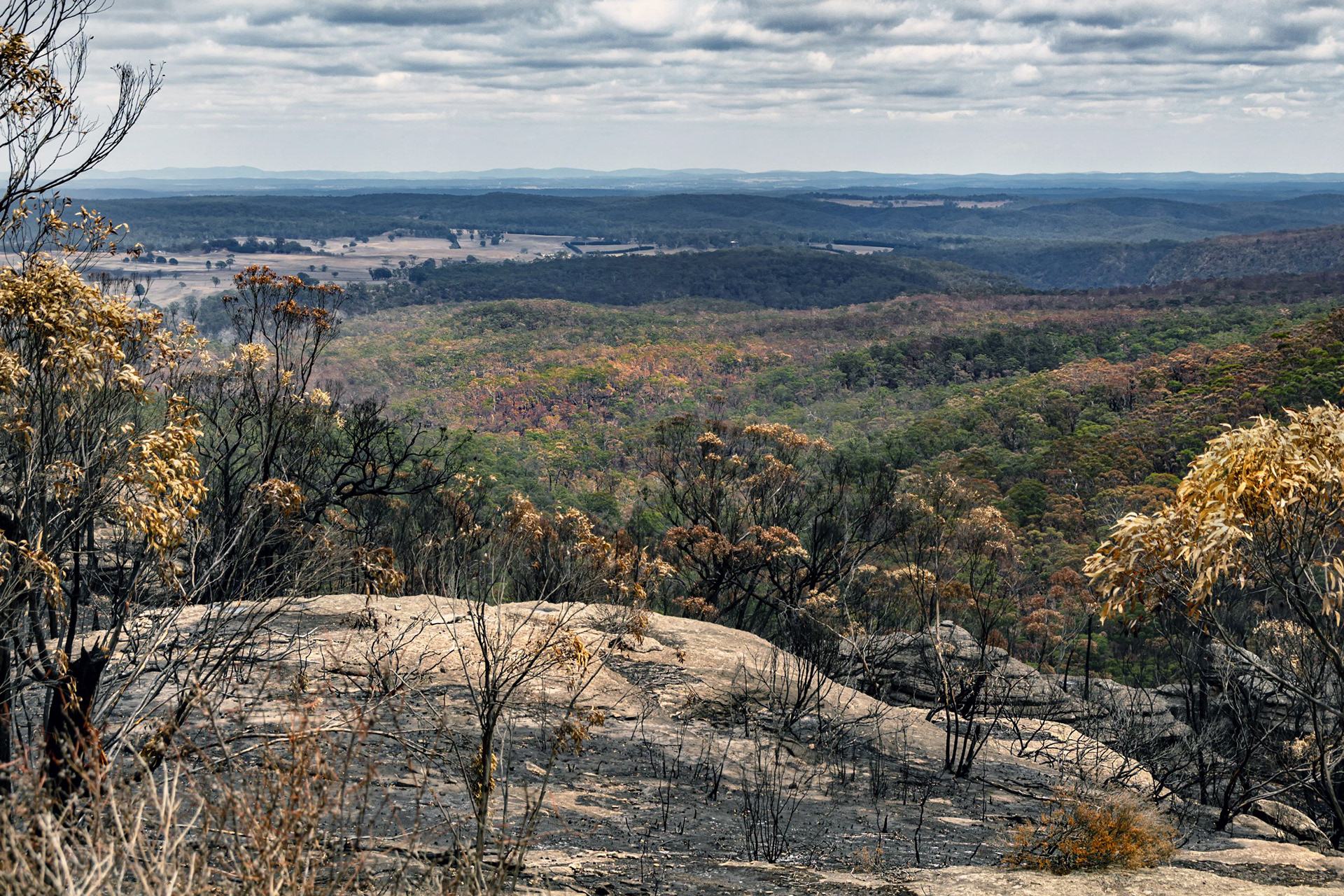 Yerriyong and Beyond