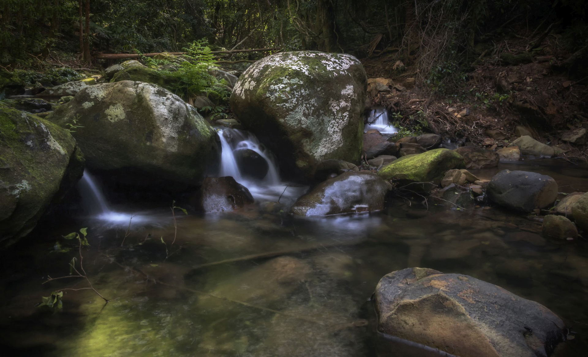 Macquarie Pass Rivulet 