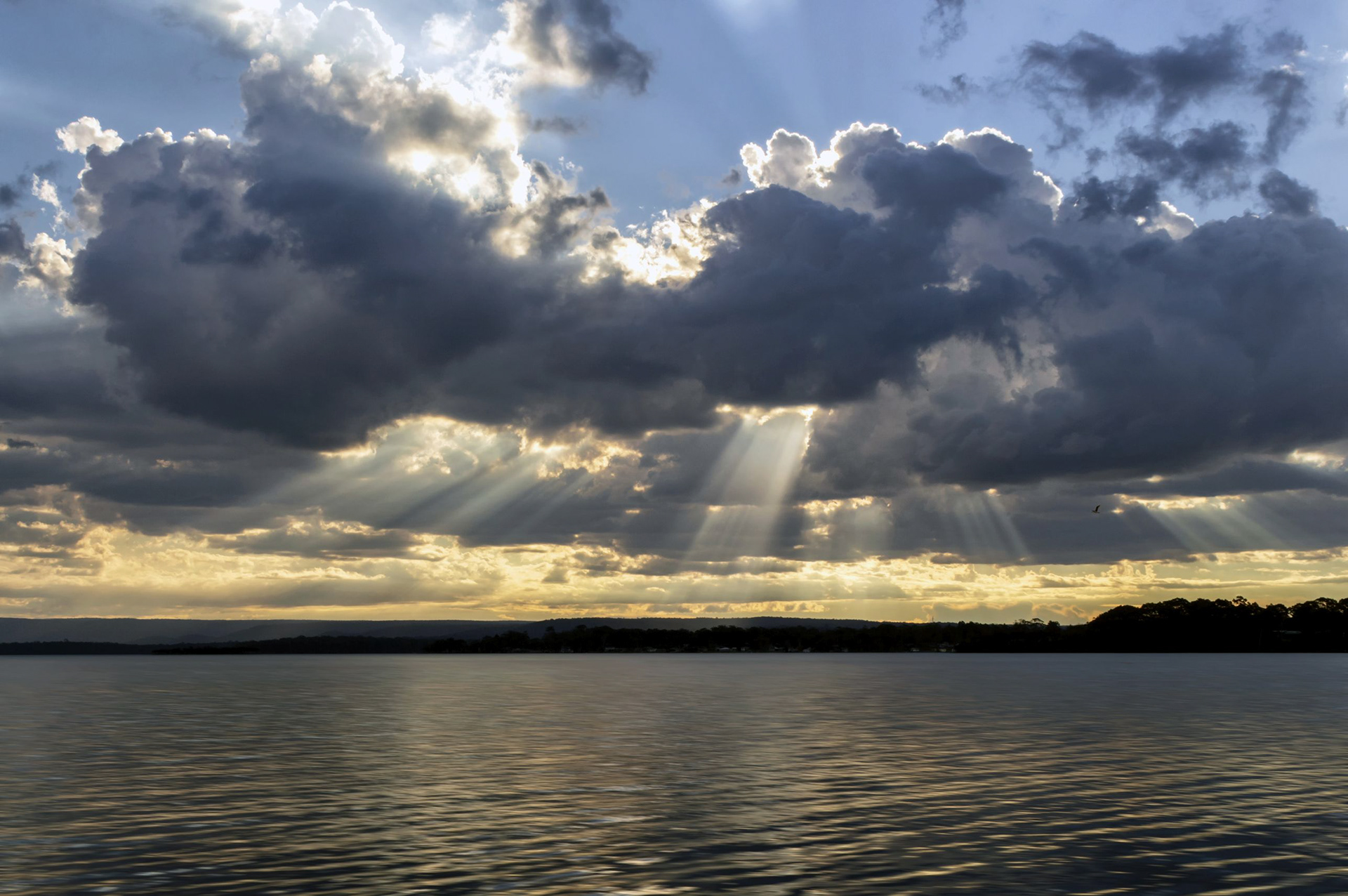 The first cold front of Winter moves in 4