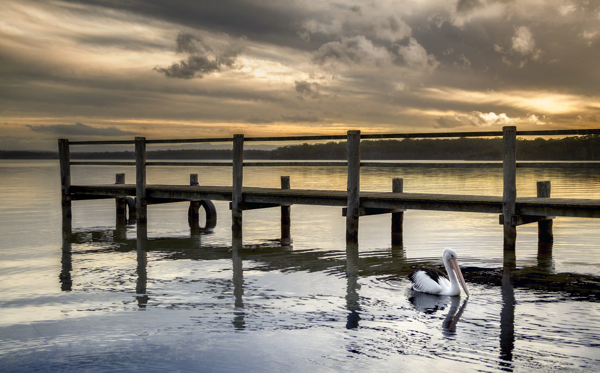 St Georges Basin Spring 2019