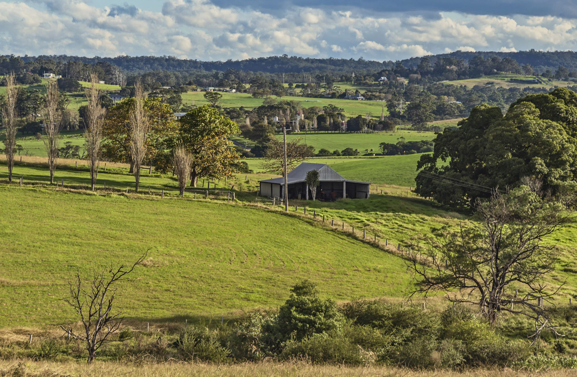 Beautiful Milton 