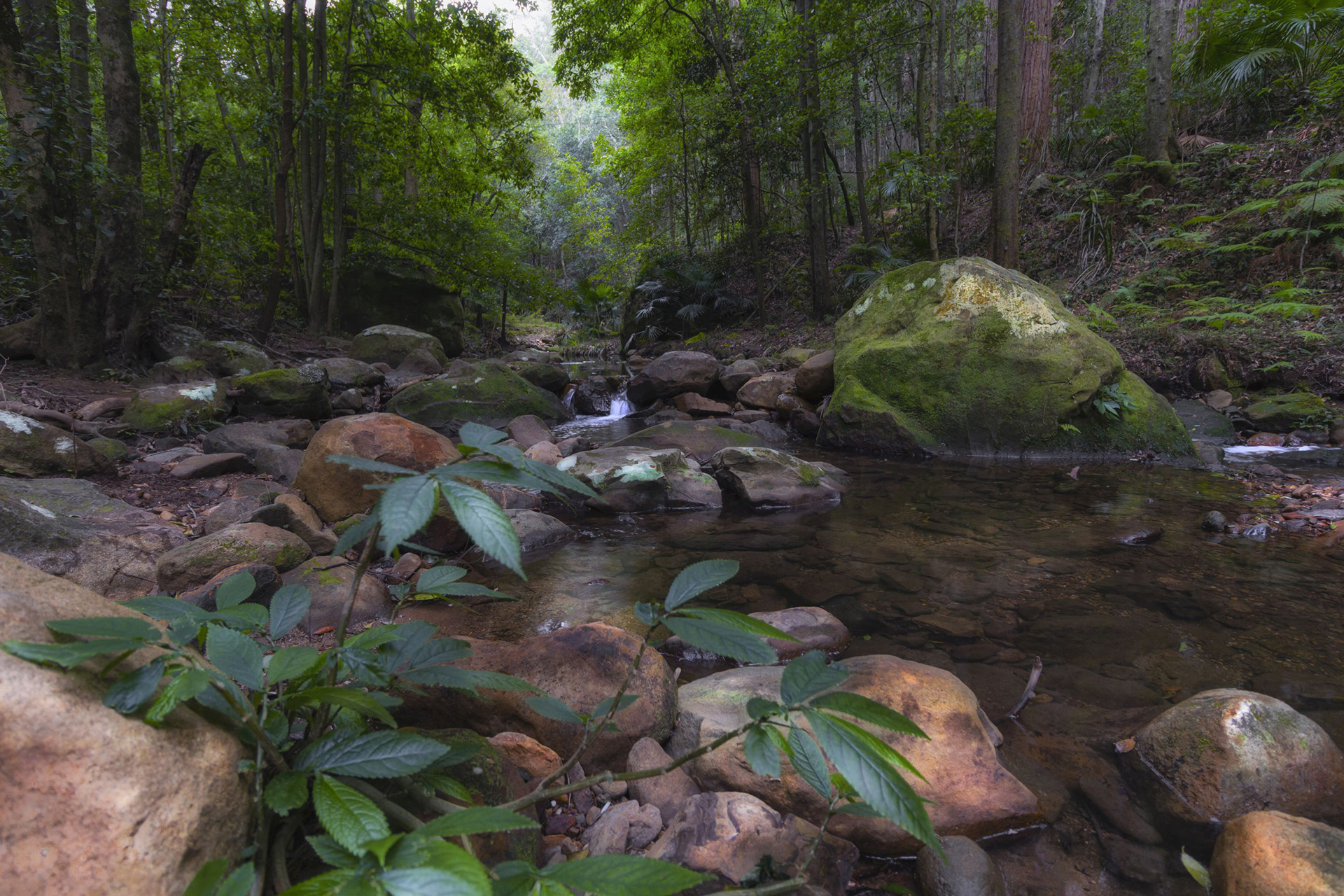 Macquarie Pass Rivulet 1