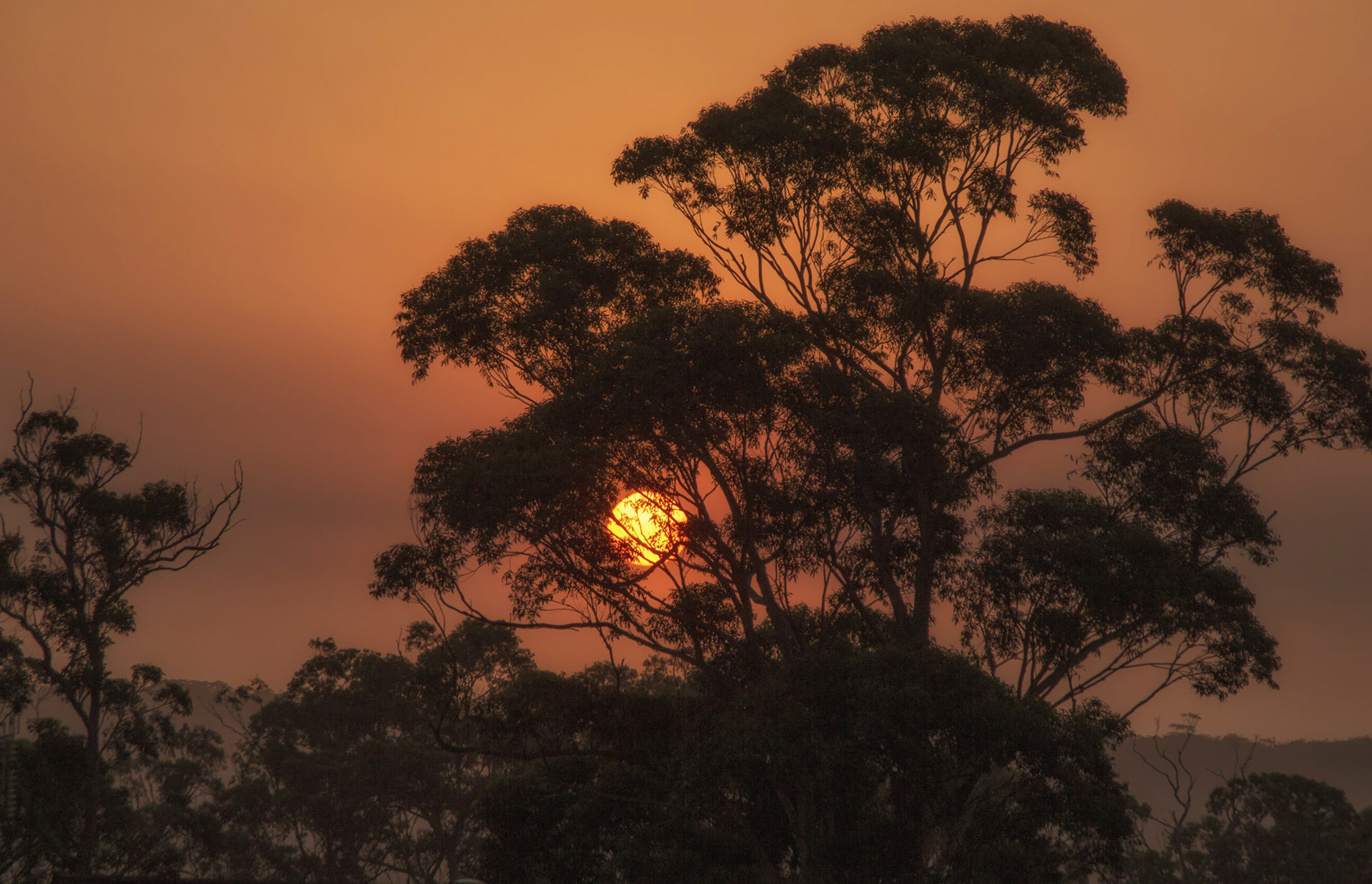 First sun in over a month