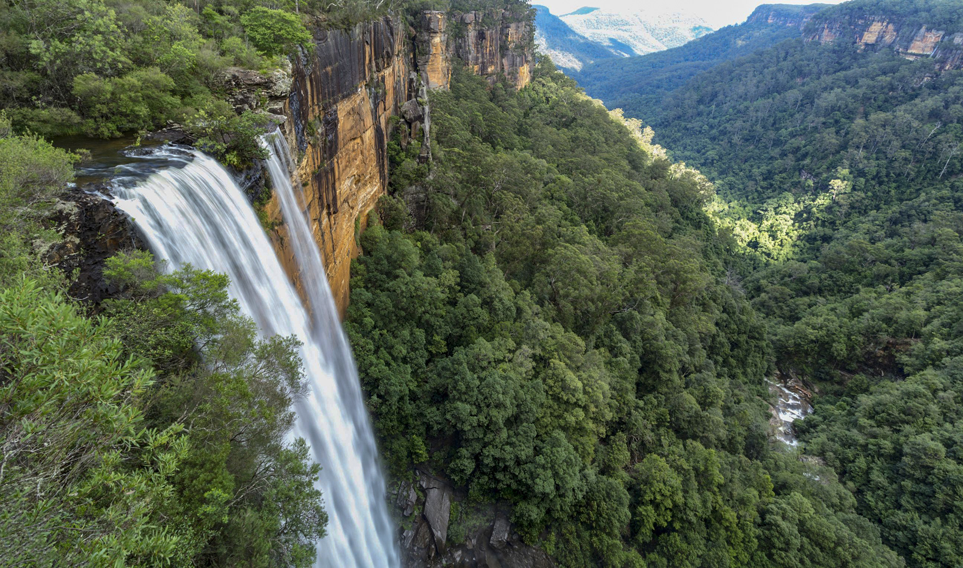 Fitzroy falls and the valley below 