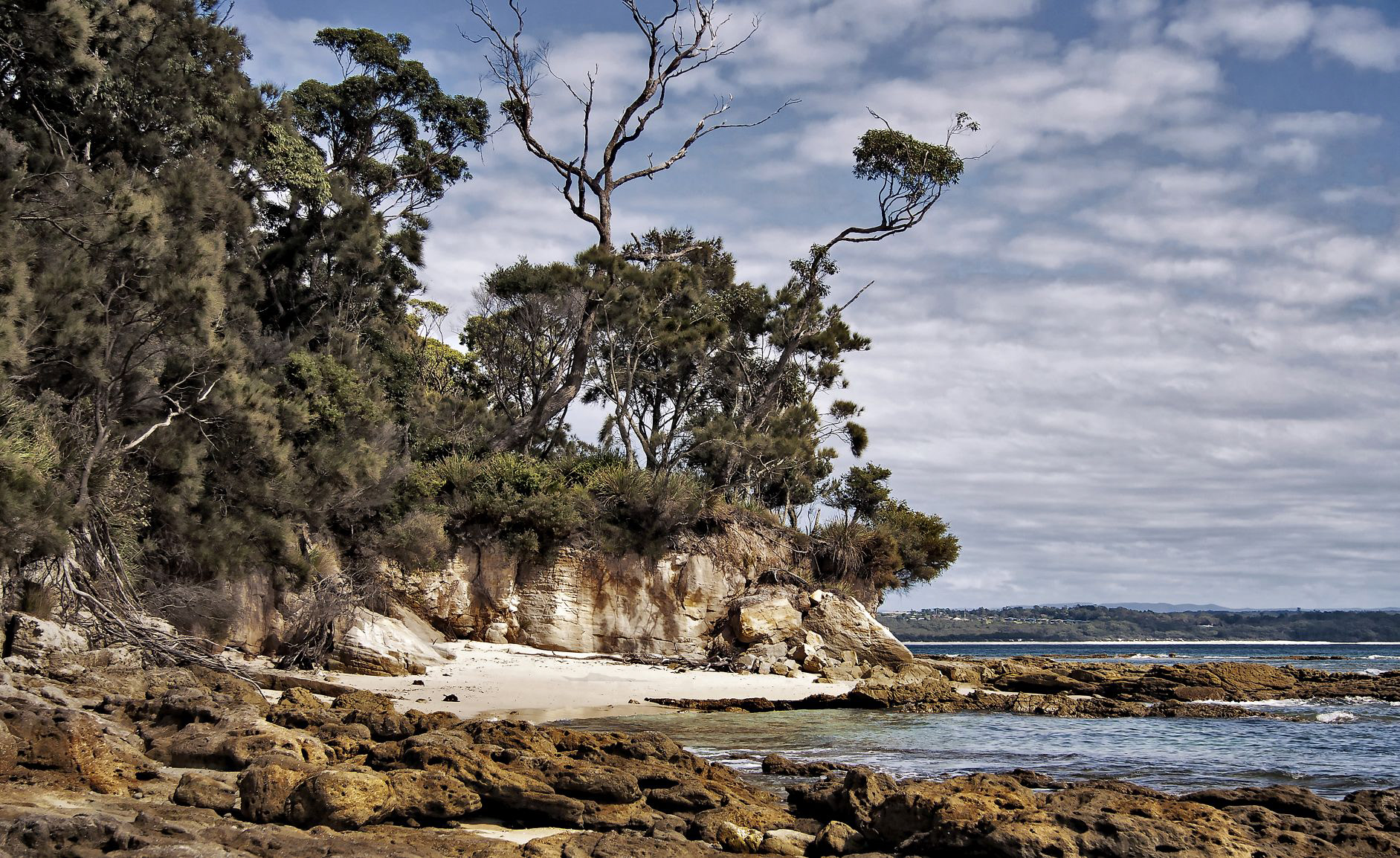 Murrys Beach Coastline