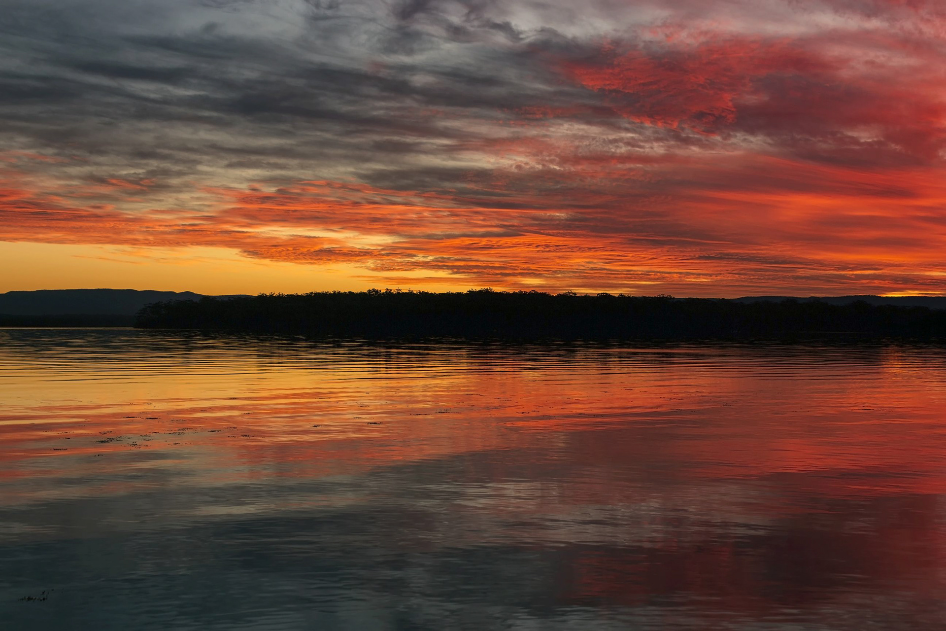 A Rush of Autumn Colour 