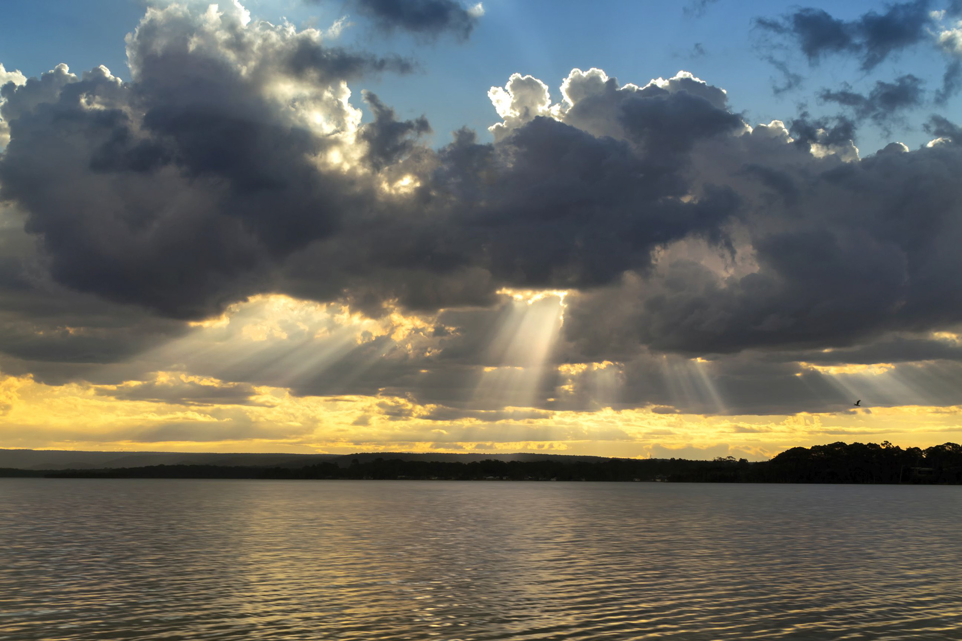 The first cold front of Winter moves in 3