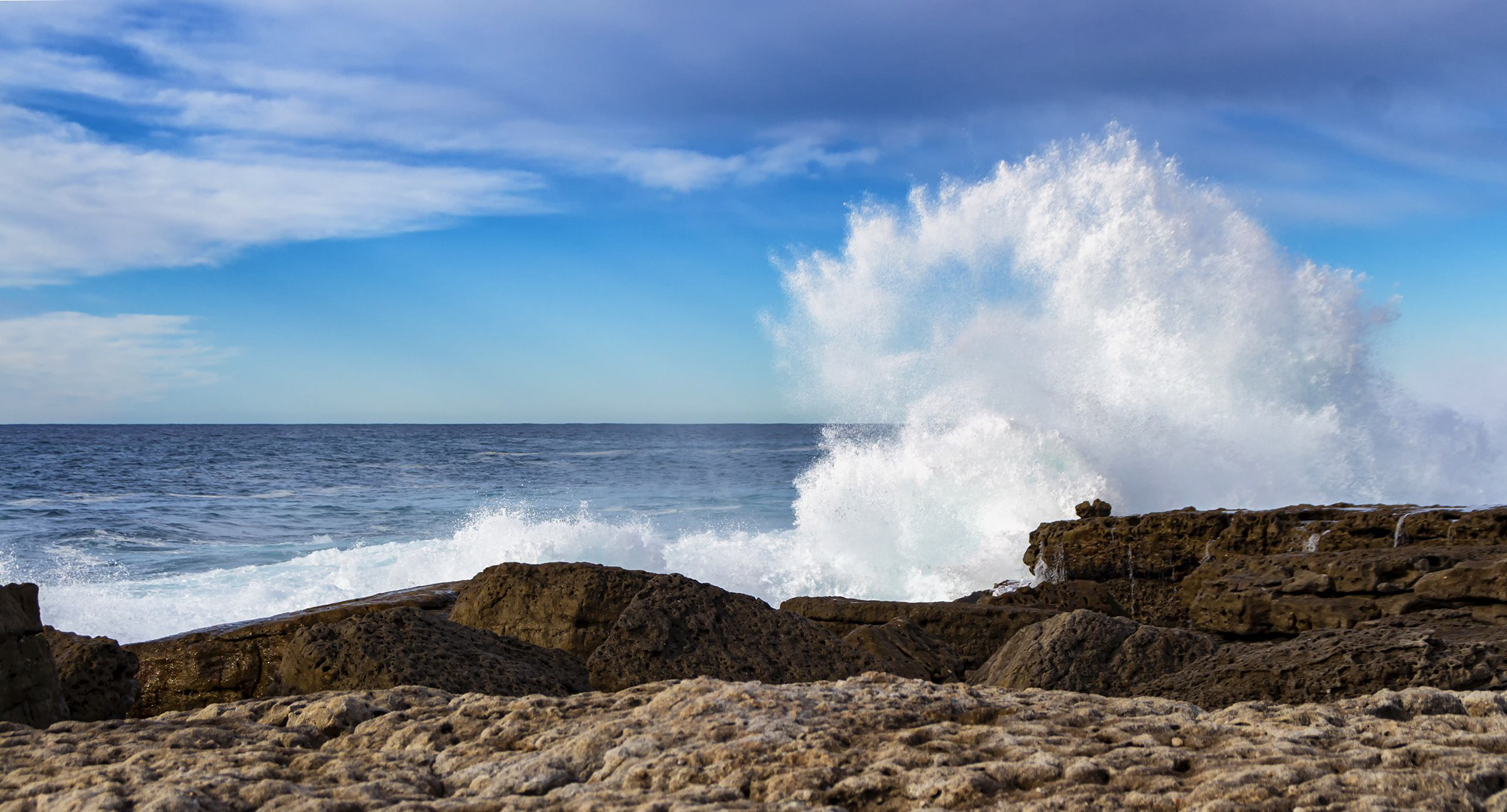 Moes Rock  The Tasman Sea 