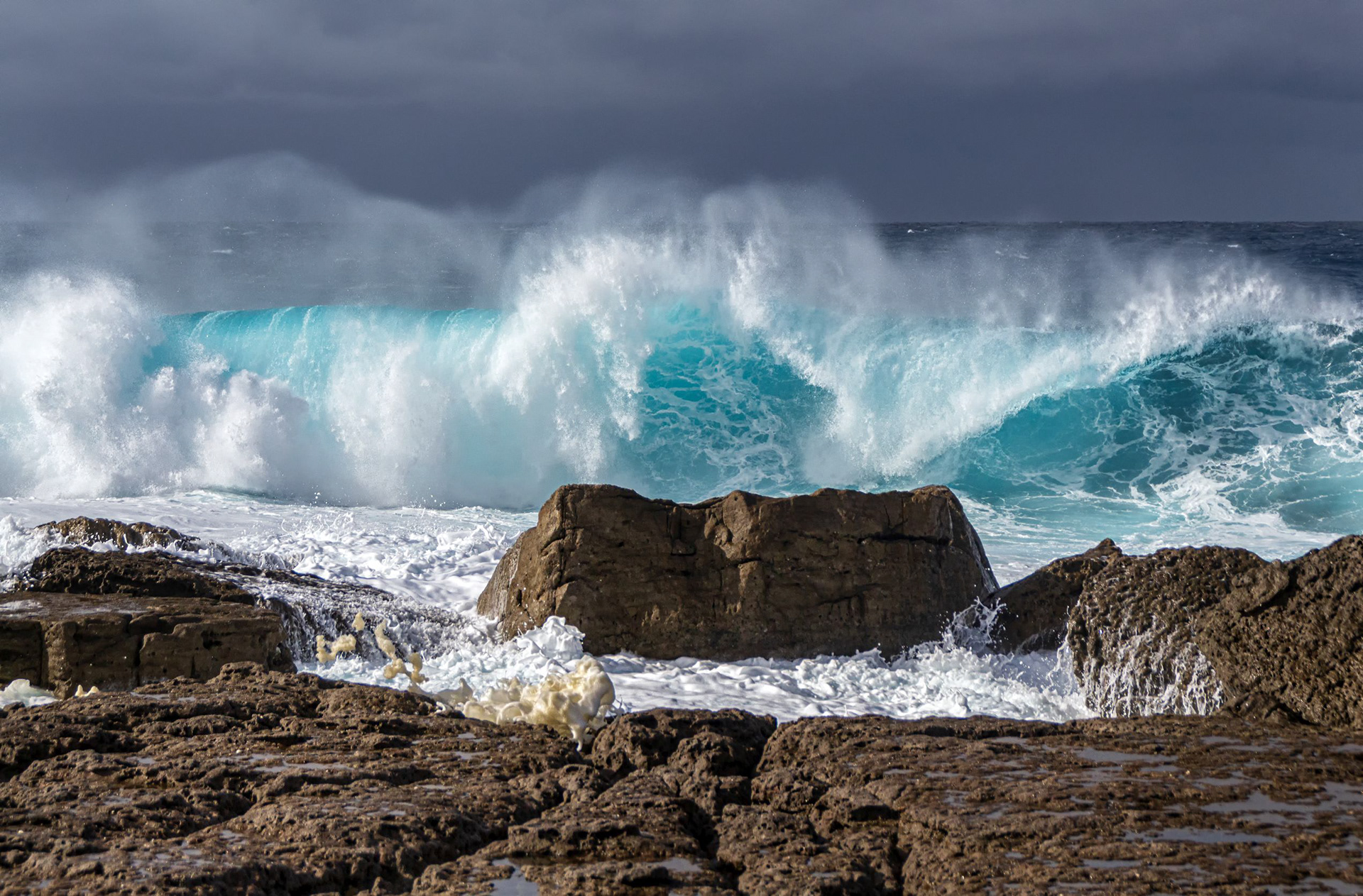 Moes Rock Rocking the Big Swell 2