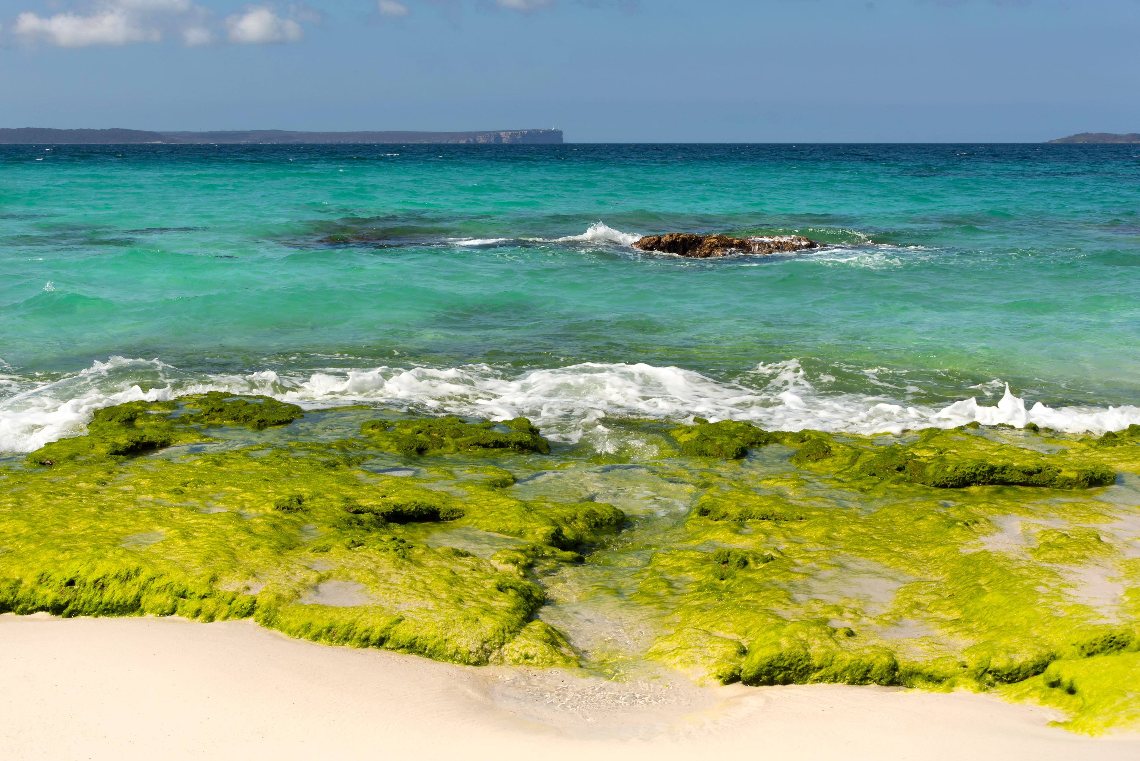 Chinamans Beach Spring 2020