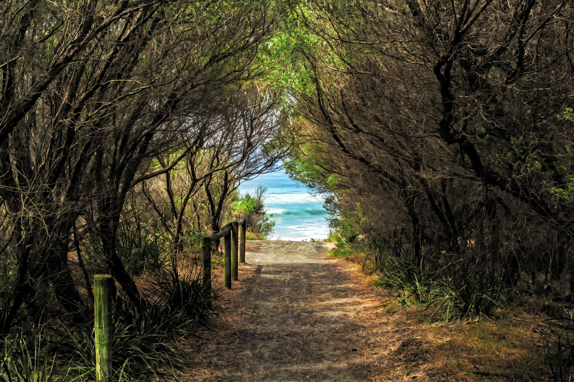 Walk down to Bendalong Beach 