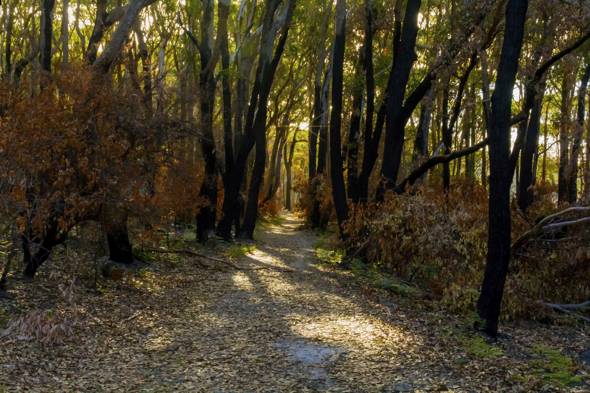 Heading back to Murrays Beach 