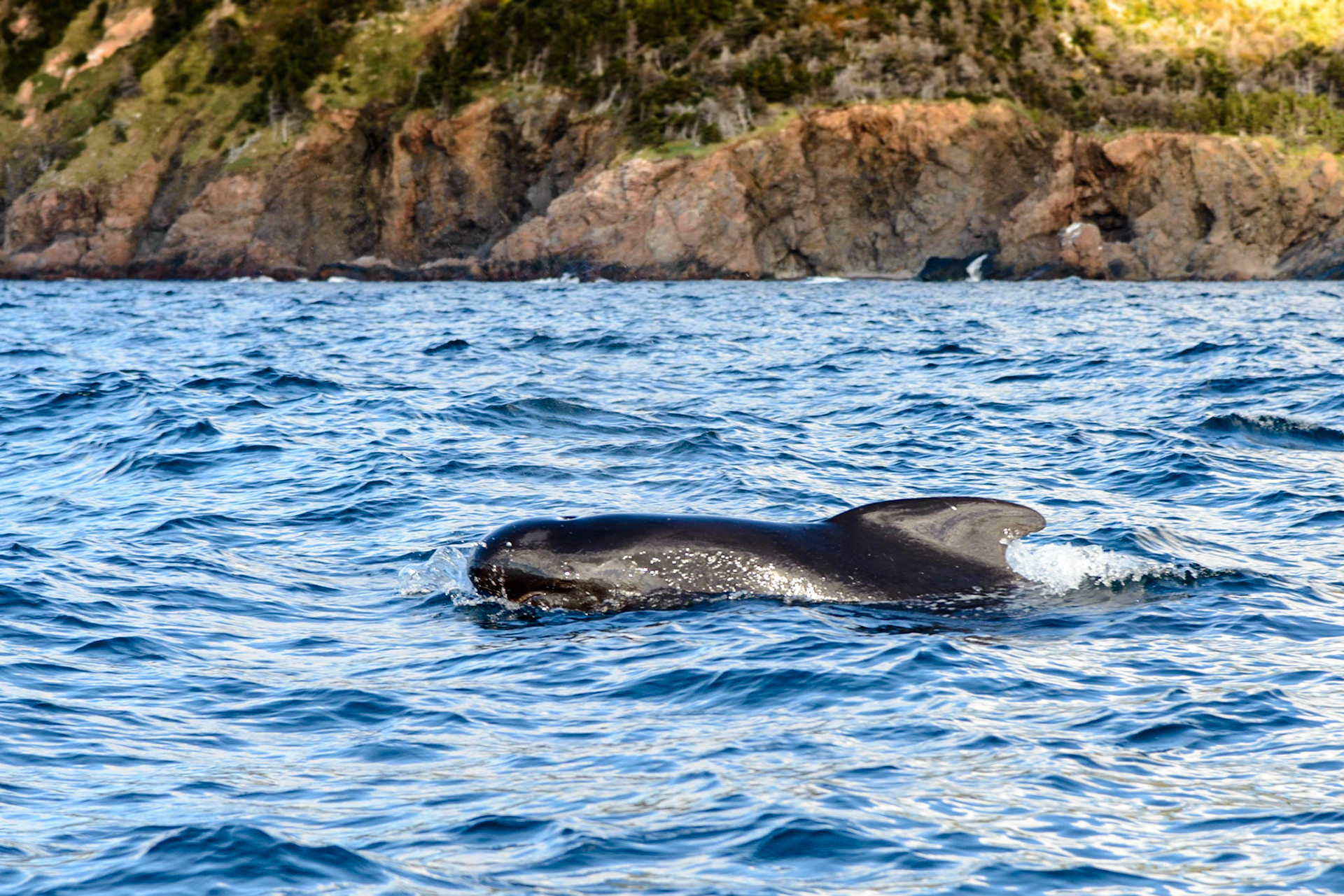 Photo by: Thilo Volberg (www.thiuda.com)