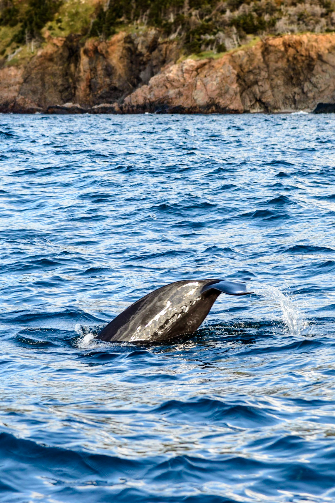 Photo by: Thilo Volberg (www.thiuda.com)