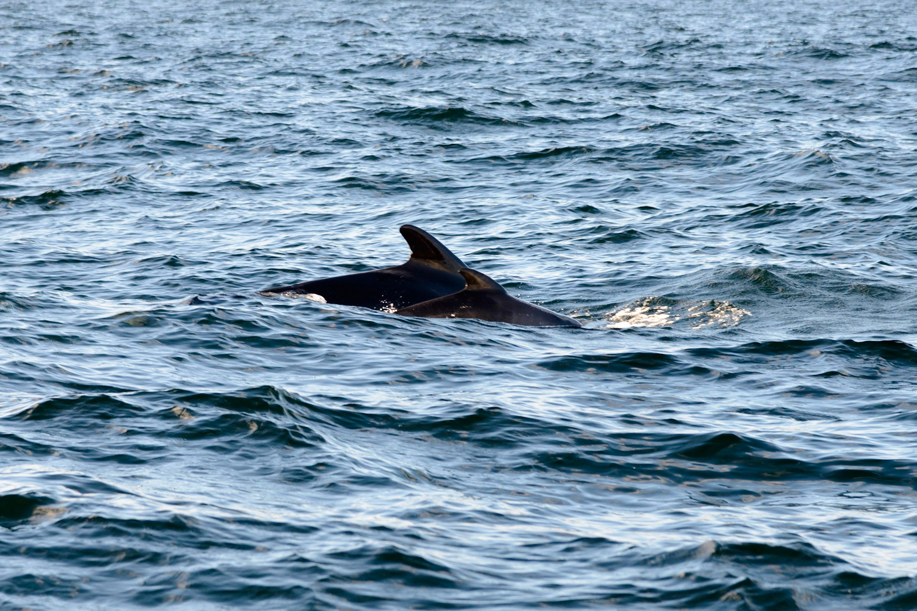 Photo by: Thilo Volberg (www.thiuda.com)