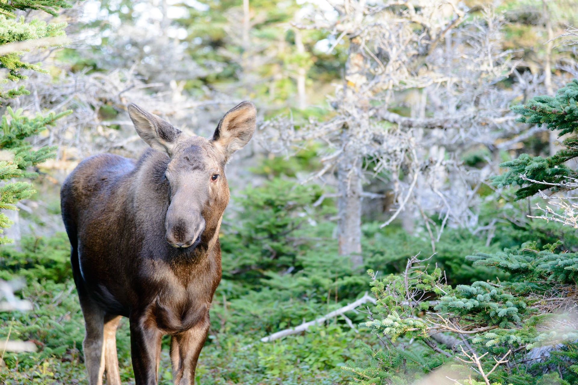 Photo by: Thilo Volberg (www.thiuda.com)