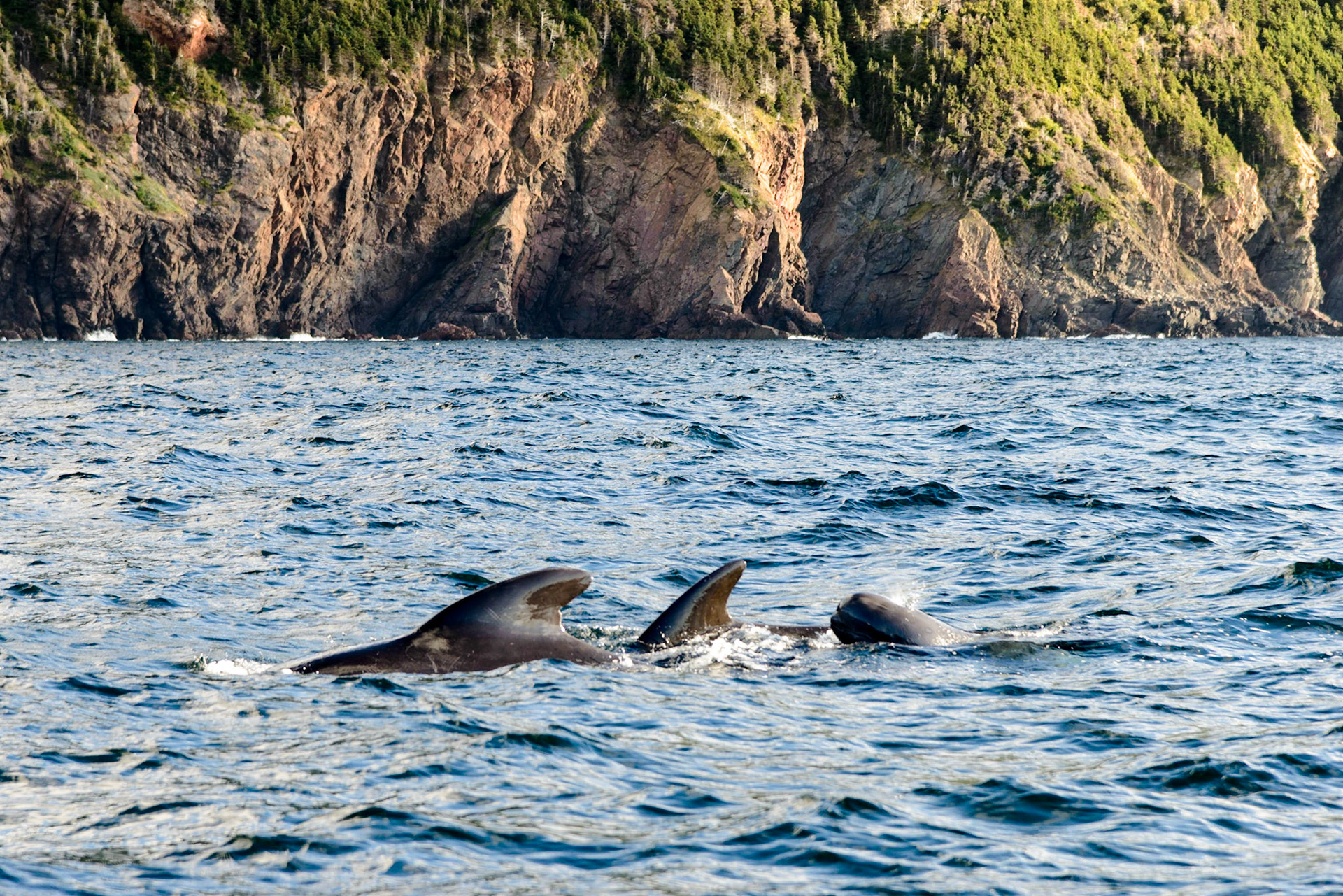 Photo by: Thilo Volberg (www.thiuda.com)