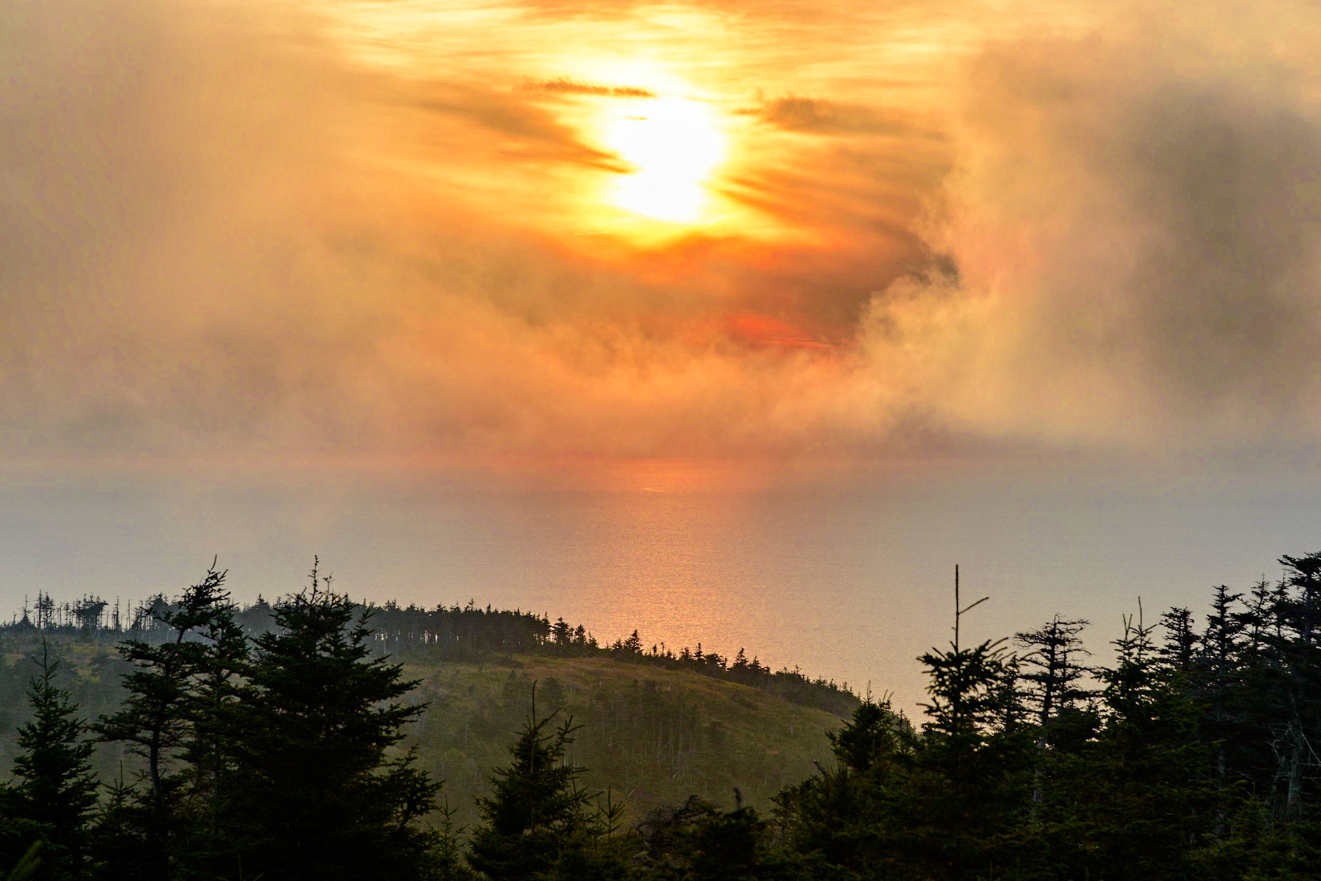 Photo by: Thilo Volberg (www.thiuda.com)