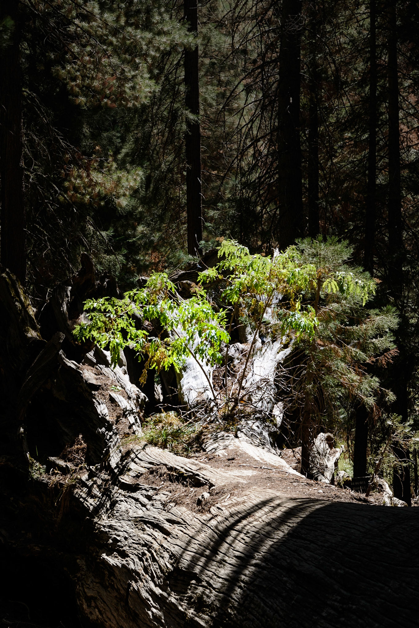 Photo by: Thilo Volberg (www.thiuda.com)