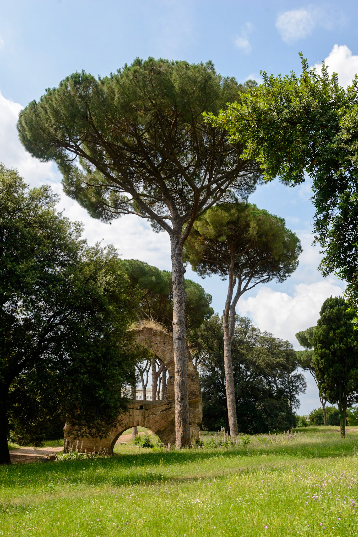 Photo by: Thilo Volberg (www.thiuda.com)