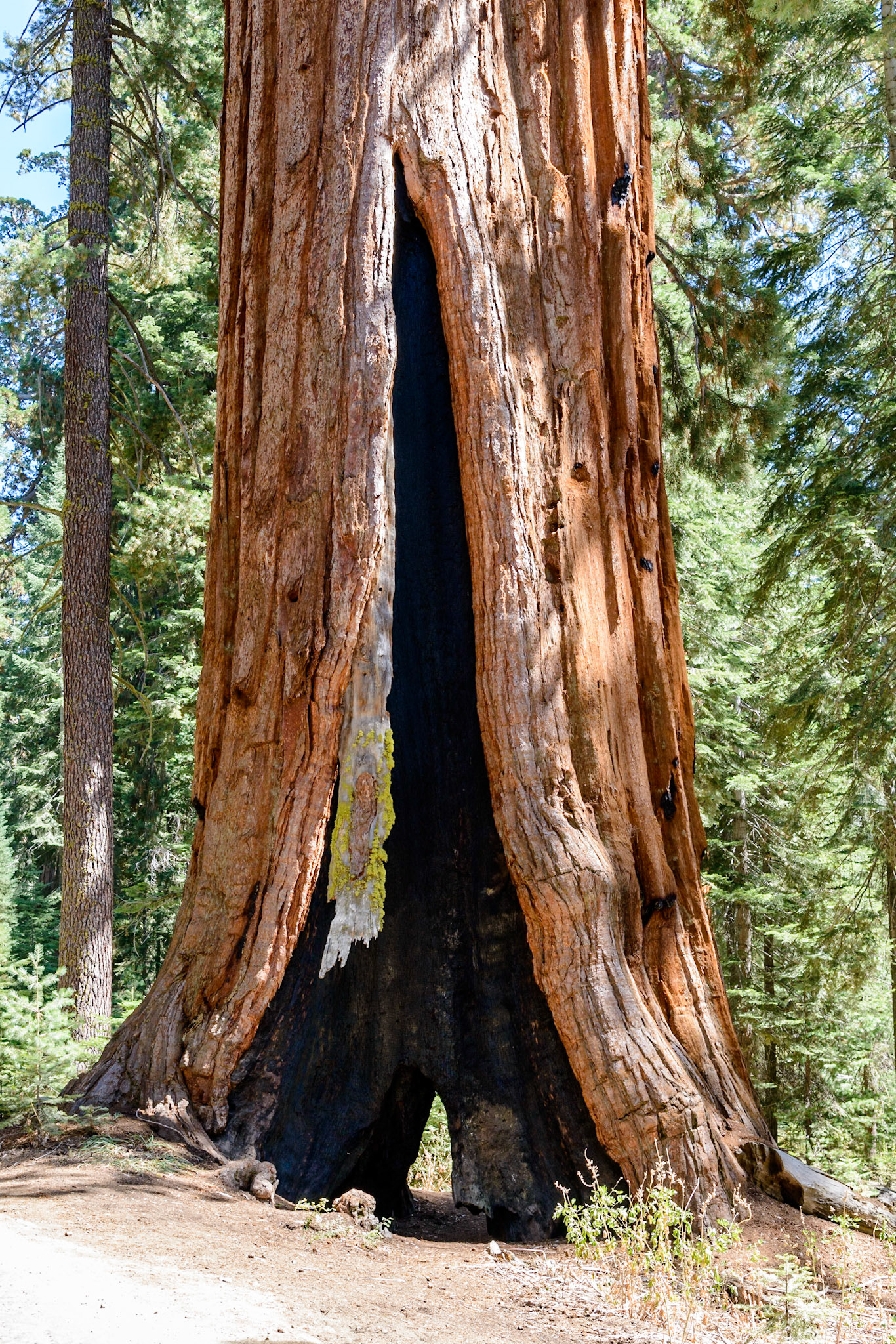 Photo by: Thilo Volberg (www.thiuda.com)