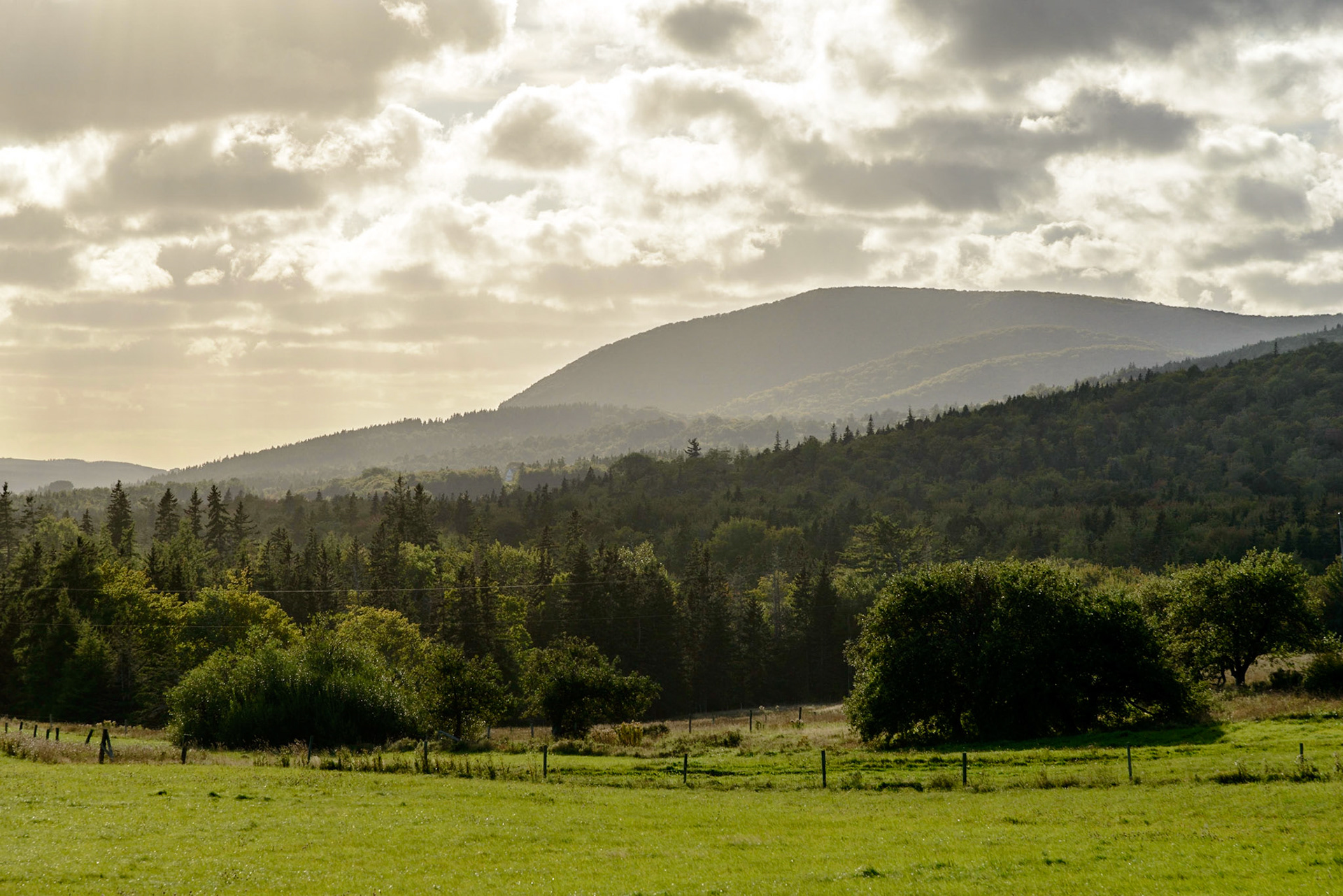 Photo by: Thilo Volberg (www.thiuda.com)