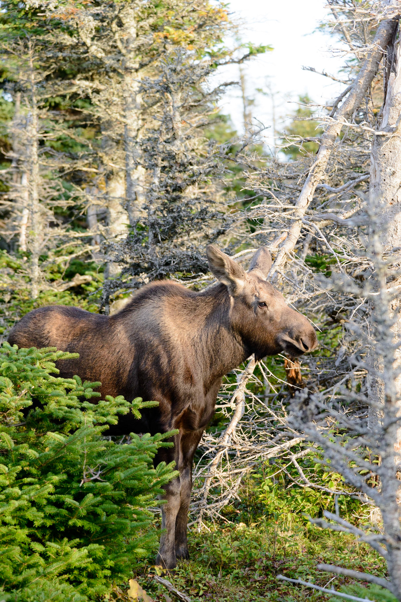 Photo by: Thilo Volberg (www.thiuda.com)