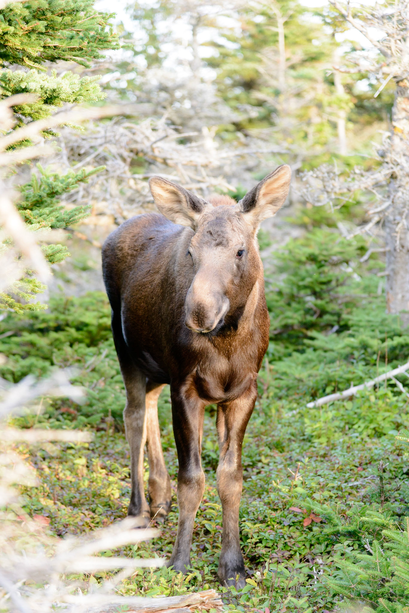 Photo by: Thilo Volberg (www.thiuda.com)