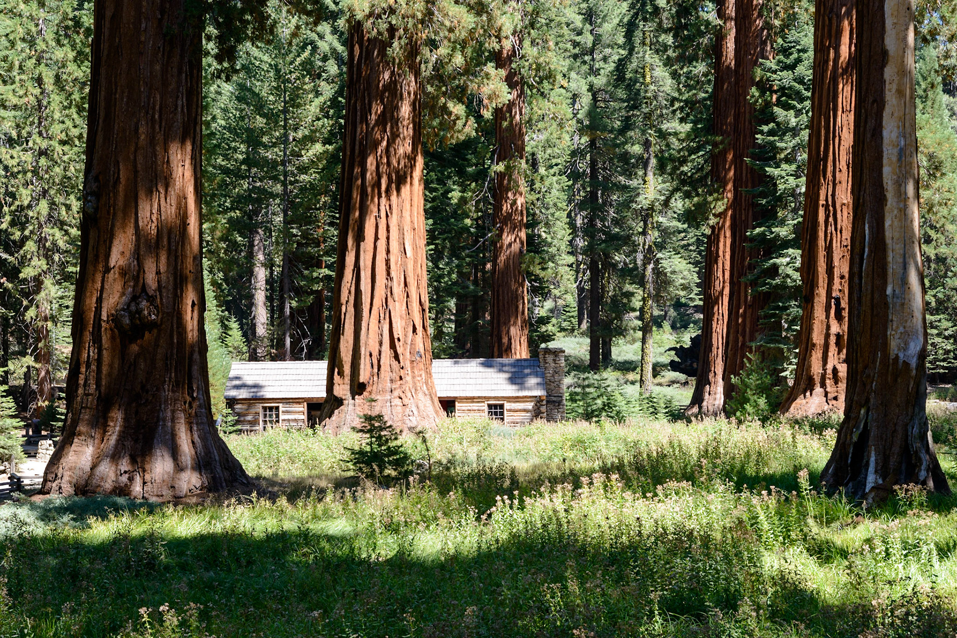 Photo by: Thilo Volberg (www.thiuda.com)